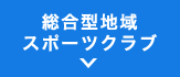 統合型地域スポーツクラブ